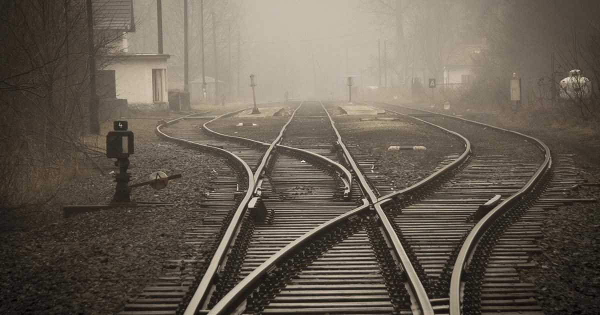 litigation risk management